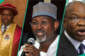 Amupitan: List of INEC Chairmen and the Geopolitical Zones They Came From