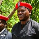Kenyan activists abducted in Uganda, Bobi Wine says