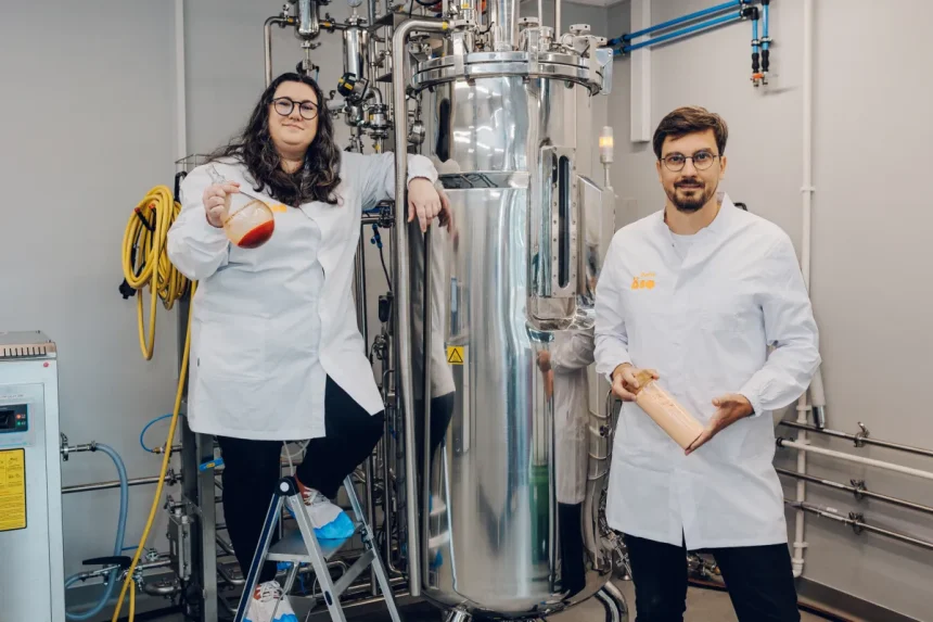 Startup Battlefield company ÄIO invented a method to make edible fat from ag waste like sawdust