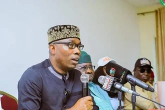 Sale Of Nigeria’s Public Assets Caused Infrastructure Crisis – Adebayo