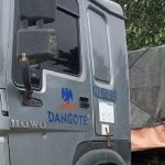 Dangote Truck Crushes Three To Death In Benue