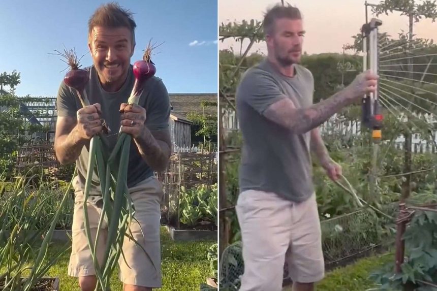Victoria and David Beckham Show Off Their ‘Impressive’ Home Garden at English Estate