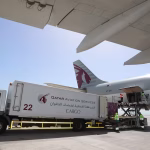 Qatar Airways accused of killing vegetarian passenger with meat-based meal