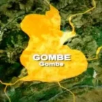 Gombe emerges 5th best in ICIR’s budget performance ranking – Tribune Online