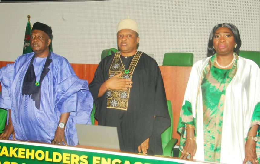 Nigerian diaspora gets digital boost: NiDRes app launched