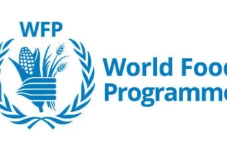 Fix Instability To Rebuild Livelihood In Northern Nigeria, WFP, Others Tell Govt