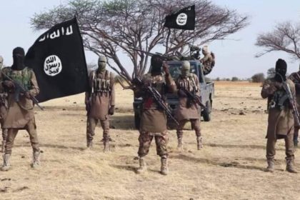 Five ISWAP commanders killed by Nigerian troops in Borno identified