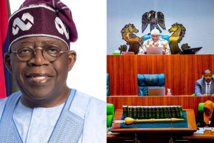 Tinubu gets approval from Reps to borrow fresh .35 billion