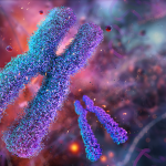 Gene on the X chromosome may help explain high multiple sclerosis rates in women