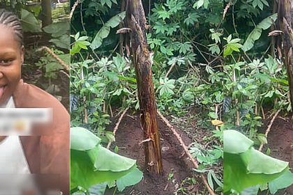 New Mum Reacts As Mother-In-Law Uses Her Baby’s Umbilical Cord To Plant Plantain