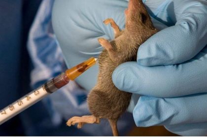 Lassa fever kills 166 people in nine months