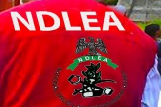Stray bullet allegedly fired by NDLEA operatives injures woman in Kano
