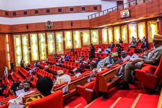 Senate gives Edun, Bagudu two weeks to present 2024 budget performance report