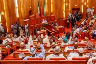 Senate Directs Economic Team To Submit 2024 Budget Performance Report