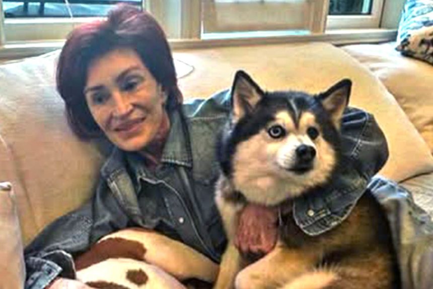 Sharon Osbourne Mourns Death of Dog Elvis 3 Months After Husband Ozzy Died