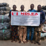 NDLEA intercepts drug consignments concealed in frozen snails, bulbs, clothes