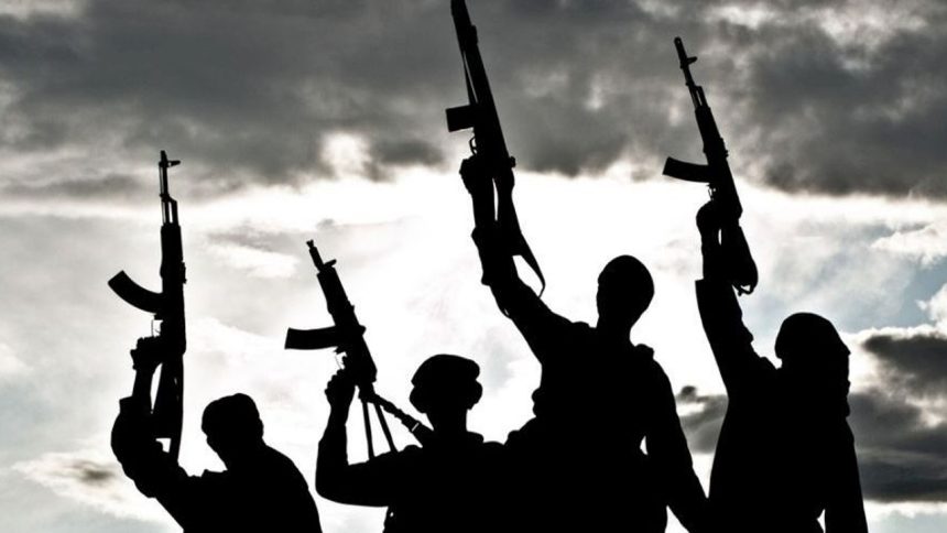 Popular Nigerian Pastor Backs US Senator’s Claim of Christian Genocide in Nigeria