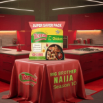 Terra Cube unwraps joy beyond Big Brother Naija House