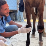 Gaza vet ‘killed by Israeli troops’ while returning home after ceasefire declared