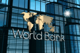 How Nigeria can maintain naira stability – World Financial institution