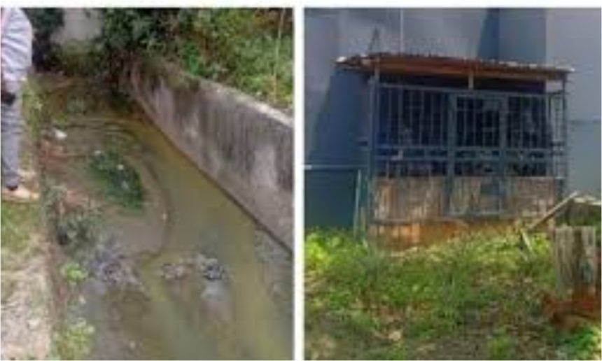 Lagos govt seals YABATECH sewage plant