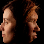 Differences in red blood cells may have ‘hastened the extinction’ of our Neanderthal cousins, new study suggests