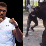 Anthony Joshua agrees to fight Russian who wrestles bears in comeback bout