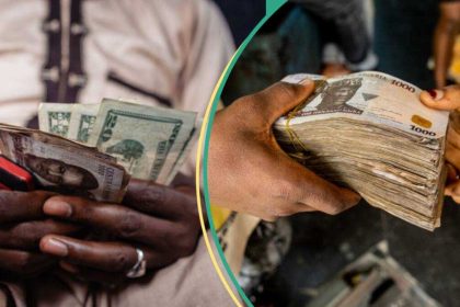 Naira Surges: Experts Say Nigeria’s Currency Now Among the World’s Most Competitive Currencies
