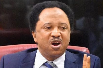 ADC Coalition Has PDP, APC DNA – Shehu Sani