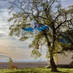 Amazon to resume drone delivery following crash in Arizona
