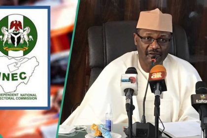 Election Explainer: How is the INEC Chairman Appointed?