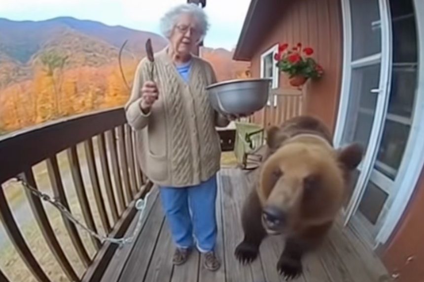 Real or AI? Viral Bodycam Video of Elderly Woman Feeding a Bear on Her Porch