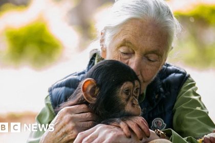 Conservationist Dame Jane Doodall dies aged 91