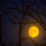 Halloween stargazing 2025: The moon and Saturn light the night sky for trick-or-treaters