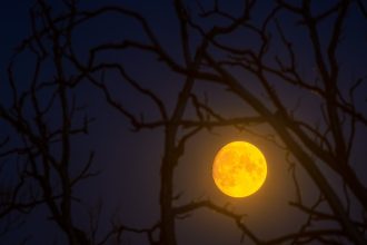 Halloween stargazing 2025: The moon and Saturn light the night sky for trick-or-treaters