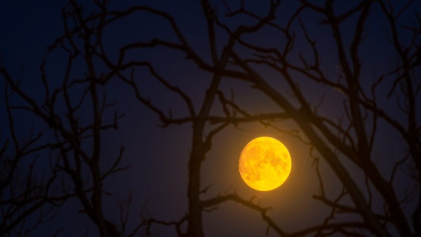 Halloween stargazing 2025: The moon and Saturn light the night sky for trick-or-treaters