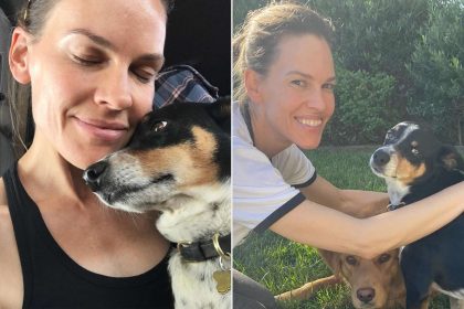 Hilary Swank Announces the Unexpected Death of Her Dog Kai
