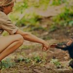 From tool use to warfare — here are 5 ways Jane Goodall revolutionized our knowledge of chimpanzees