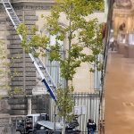 Brazen daylight robbery at Louvre purportedly captured on video