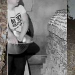 Fearless Man Runs Scorpion Farm, Milks Deadly Creatures for ₦30bn Venom