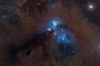 Cosmic baboon rampages through deep space in gorgeous new nebula photo