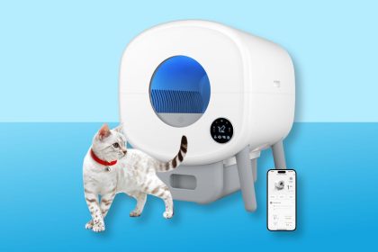 This Self-Cleaning Litter Box Is on Sale at Amazon for Just 0