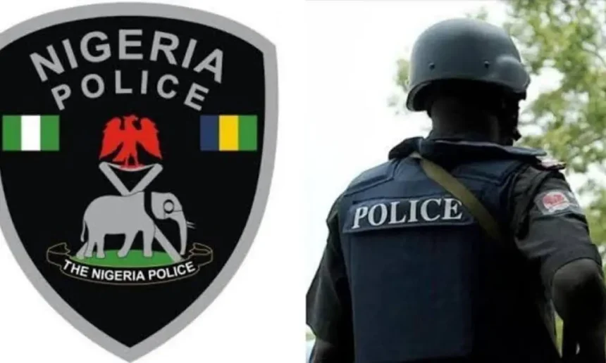 APC scribe in police net over alleged killing of Yobe food vendor
