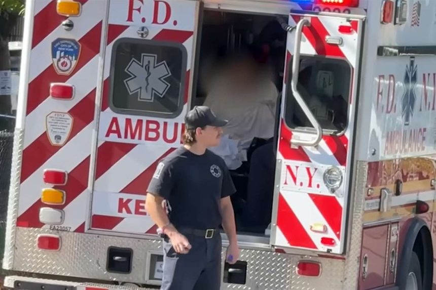 Mother Charged with Attempted Murder of Her Baby After Retired NYPD Officer Pulls Them from River