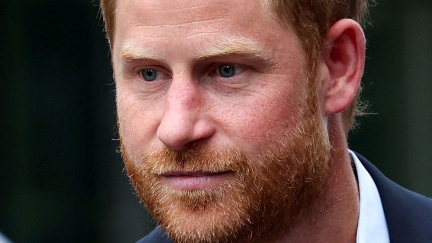 Chad cuts ties with Prince Harry’s ‘disrespectful’ wildlife charity | World News