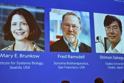 Nobel Prize committee unable to reach winner as he’s ‘hiking off-grid’ | World News