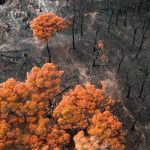 22 of Earth’s 34 ‘vital signs’ are flashing red, new climate report reveals — but there’s still time to act