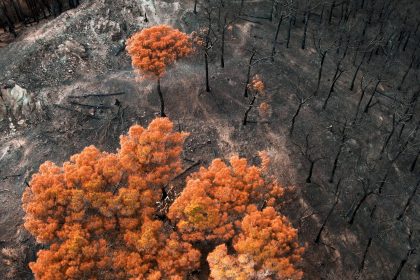 22 of Earth’s 34 ‘vital signs’ are flashing red, new climate report reveals — but there’s still time to act