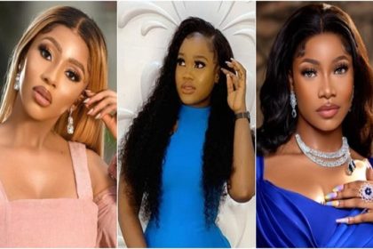 BBNAIJA: 15 influential fanbases that transformed the show
