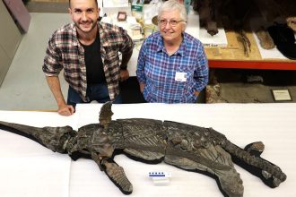 New species of Jurassic ‘sword dragon’ could help solve an evolutionary mystery